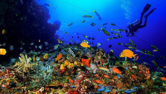 diving in Bali